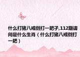 什么打豬八戒倒打一耙孑,112期請問是什么生肖（什么打豬八戒倒打一耙）