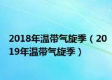 2018年溫帶氣旋季（2019年溫帶氣旋季）