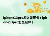iphone13pro怎么裝雙卡（iphone13pro怎么投屏）