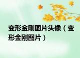 變形金剛圖片頭像（變形金剛圖片）