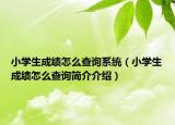 小學(xué)生成績(jī)?cè)趺床樵兿到y(tǒng)（小學(xué)生成績(jī)?cè)趺床樵兒?jiǎn)介介紹）