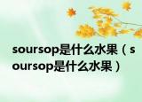 soursop是什么水果（soursop是什么水果）