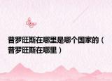 普羅旺斯在哪里是哪個國家的（普羅旺斯在哪里）