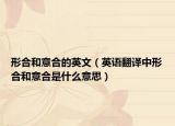形合和意合的英文（英語(yǔ)翻譯中形合和意合是什么意思）