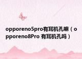 opporeno5pro有耳機孔嘛（opporeno8Pro 有耳機孔嗎）