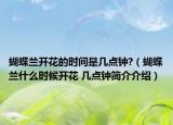 蝴蝶蘭開花的時(shí)間是幾點(diǎn)鐘?（蝴蝶蘭什么時(shí)候開花 幾點(diǎn)鐘簡(jiǎn)介介紹）