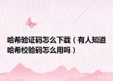 哈希驗(yàn)證碼怎么下載（有人知道哈希校驗(yàn)碼怎么用嗎）