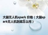 大疆無人機spark 價格（大疆spark無人機到底怎么樣）
