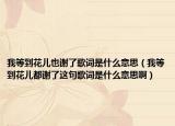 我等到花兒也謝了歌詞是什么意思（我等到花兒都謝了這句歌詞是什么意思啊）
