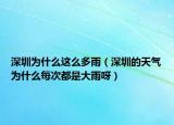 深圳為什么這么多雨（深圳的天氣為什么每次都是大雨呀）