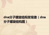dna分子螺旋結(jié)構(gòu)發(fā)現(xiàn)者（dna分子螺旋結(jié)構(gòu)圖）
