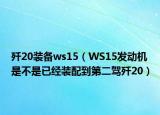 殲20裝備ws15（WS15發(fā)動機(jī)是不是已經(jīng)裝配到第二駕殲20）