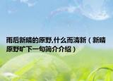 雨后新晴的原野,什么而清新（新晴原野曠下一句簡(jiǎn)介介紹）