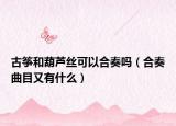 古箏和葫蘆絲可以合奏嗎（合奏曲目又有什么）