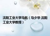 沈陽工業(yè)大學(xué)馬航（馬少華 沈陽工業(yè)大學(xué)教授）