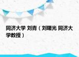 同濟大學(xué) 劉青（劉曙光 同濟大學(xué)教授）