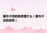 朝令夕改的意思是什么（朝令夕改的意思）