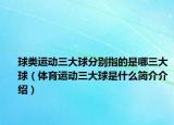 球類運(yùn)動(dòng)三大球分別指的是哪三大球（體育運(yùn)動(dòng)三大球是什么簡(jiǎn)介介紹）