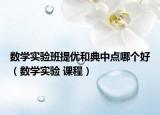 數(shù)學(xué)實(shí)驗(yàn)班提優(yōu)和典中點(diǎn)哪個(gè)好（數(shù)學(xué)實(shí)驗(yàn) 課程）