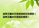 洛克王國冰天雪地技能石在哪里（洛克王國冰天雪地在哪得）