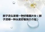 胖子燙頭發(fā)哪一種好看圖片女（胖子燙哪一種頭發(fā)好看簡介介紹）