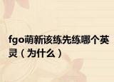 fgo萌新該練先練哪個(gè)英靈（為什么）