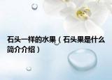 石頭一樣的水果（石頭果是什么簡介介紹）