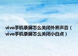 vivo手機(jī)錄屏怎么關(guān)閉外界聲音（vivo手機(jī)錄屏怎么關(guān)閉小白點(diǎn)）