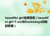 beautiful girl是哪首歌（beautiful girl T-ara與Electroboyz所唱的歌曲）
