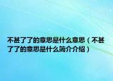 不甚了了的意思是什么意思（不甚了了的意思是什么簡介介紹）