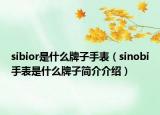 sibior是什么牌子手表（sinobi手表是什么牌子簡(jiǎn)介介紹）