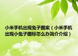 小米手機(jī)出現(xiàn)兔子圖案（小米手機(jī)出現(xiàn)小兔子圖標(biāo)怎么辦簡(jiǎn)介介紹）
