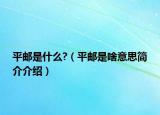 平郵是什么?（平郵是啥意思簡(jiǎn)介介紹）