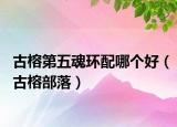 古榕第五魂環(huán)配哪個(gè)好（古榕部落）