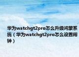 華為watchgt2pro怎么升級(jí)鴻蒙系統(tǒng)（華為watchgt2pro怎么設(shè)置鬧鐘）