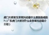 虎門(mén)大橋發(fā)生異常抖動(dòng)是什么原因造成的?（廣東虎門(mén)大橋?yàn)槭裁磿?huì)異常抖動(dòng)簡(jiǎn)介介紹）