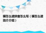 驥怎么讀拼音怎么寫（驥怎么讀簡(jiǎn)介介紹）