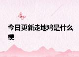 今日更新走地雞是什么梗