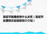 圣誕節(jié)跟麋鹿有什么關(guān)系（圣誕節(jié)是麋鹿還是馴鹿簡(jiǎn)介介紹）