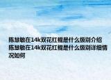 陳慧敏在14k雙花紅棍是什么級別介紹 陳慧敏在14k雙花紅棍是什么級別詳細(xì)情況如何