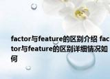 factor與feature的區(qū)別介紹 factor與feature的區(qū)別詳細(xì)情況如何