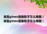 真我gtneo語(yǔ)音助手怎么喚醒（真我gtneo語(yǔ)音助手怎么喚醒）