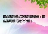 網(wǎng)店盈利模式及盈利期望值（網(wǎng)店盈利模式簡(jiǎn)介介紹）