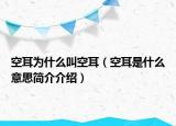 空耳為什么叫空耳（空耳是什么意思簡介介紹）