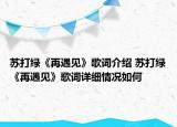 蘇打綠《再遇見》歌詞介紹 蘇打綠《再遇見》歌詞詳細情況如何
