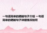 一句話簡單的曬娃句子介紹 一句話簡單的曬娃句子詳細(xì)情況如何