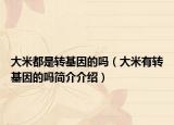大米都是轉(zhuǎn)基因的嗎（大米有轉(zhuǎn)基因的嗎簡介介紹）