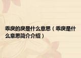 乖戾的戾是什么意思（乖戾是什么意思簡介介紹）