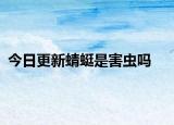 今日更新蜻蜓是害蟲(chóng)嗎