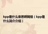 kpp是什么意思啊網(wǎng)絡(luò)（kpp是什么簡介介紹）